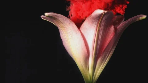 Shapes of Water Stock Footage 90350673