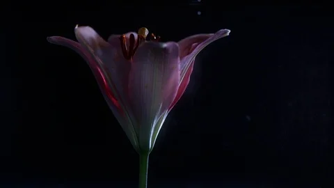 Shapes of Water Stock Footage 90352295