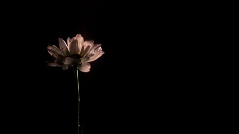 Shapes of Water Stock Footage 90352297