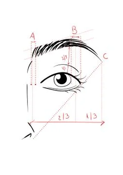 Shaping The Eyebrows Stock Illustration