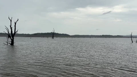 Sharavathi River during rain Видео 348273688