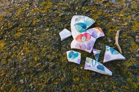 Shards of ceramic cups with flora pattern on the old asphalt Foto stock