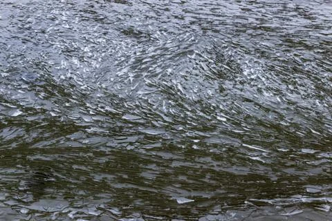 Shards of ice Фото