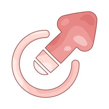 Share Stock Illustration