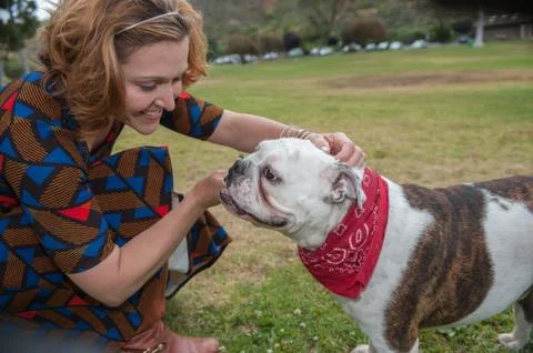 Shared affection between dog and owner Stock Photos