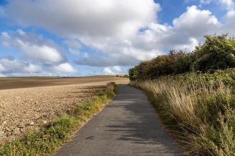A shared cycle and pedestrian pathway, alongside farmland near Falmer in Suss Stock Photos