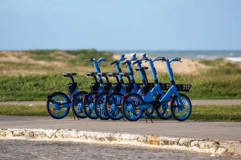 Shared electric bicycles. Stock Photos