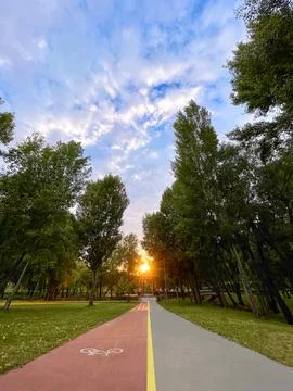 Shared Path Road Leading Toward The Sun Through Green Urban Park, Concept Stock Photos