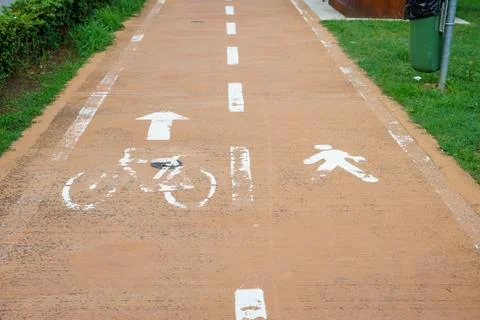 Shared pedestrian and bicycle path with white markings. Asphalt path in the c Foto stock
