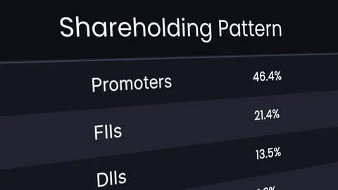 Shareholder structure concept animation 库存影片 334380595