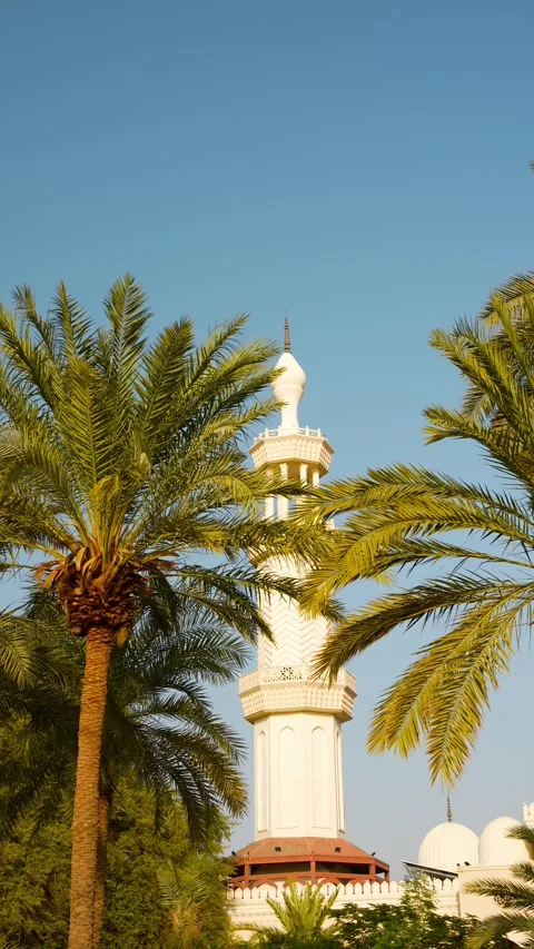 Sharif Hussein bin Ali Mosque minaret Aqaba Jordan Stock Footage 331224124