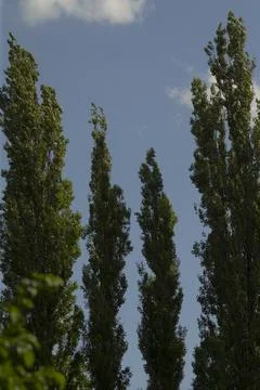Sharing actual text will allow me to craft diverse paraphrased versions for you Fotos de archivo