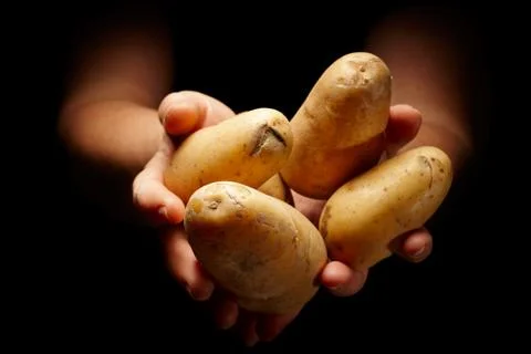Sharing food Stock Photos