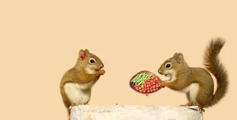 Sharing. Stock Photos