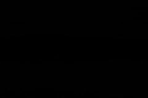 Shark 1.0 Stock Footage