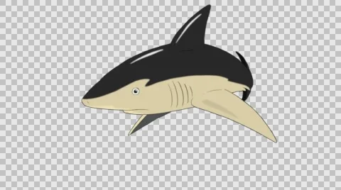 Animated Shark Swimming Stock Footage Royalty Free Stock Videos Pond5