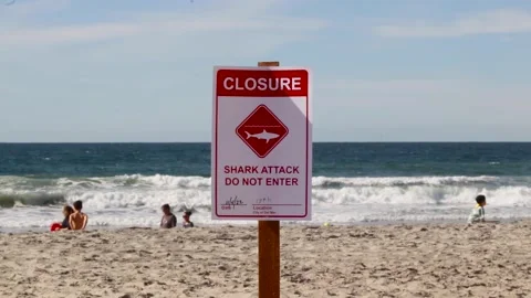 Shark attack do not enter warning sign on beach Stock Footage 221381326