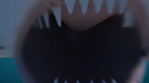 Shark Attack Stock Footage 27140491