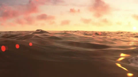 Shark attack in the middle of the ocean Stock Footage 23947811