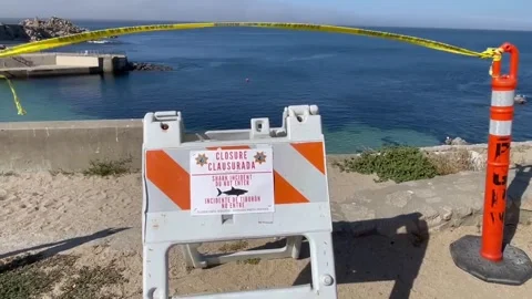 Shark attack in Monterey, California. 動画素材 200440078
