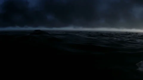 Shark attack at night Stock Footage 23947133