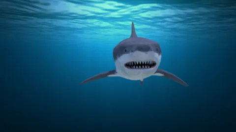 Shark Attacks Diver Stock Footage
