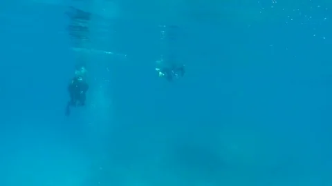 Shark attacks swimmer and gets punched gopro Stock Footage 74945029