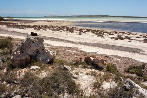 Shark Bay Stock Photos