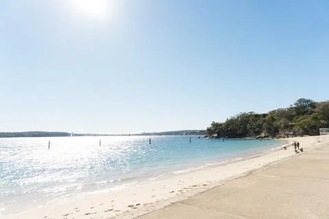The Shark Beach Stock Photos