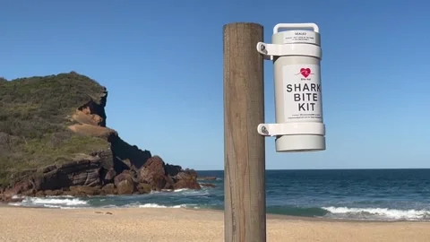 Shark beate kit on Australian beach Stock Footage 318811983