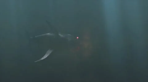 Shark with beeping tracking device swimming underwater in sea 스톡 동영상 67555236