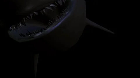 Shark Bite 3D Animation Video stock 40157280