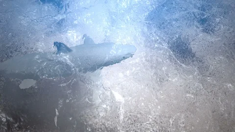 Shark bluewater Stock Footage 101883644