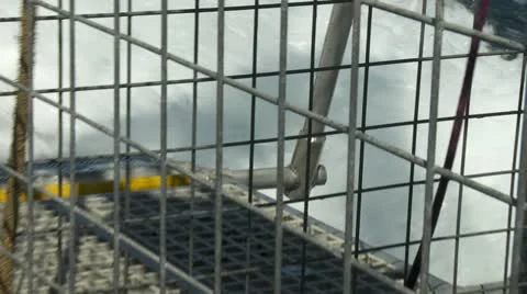 Shark cage Stock Footage 21436776