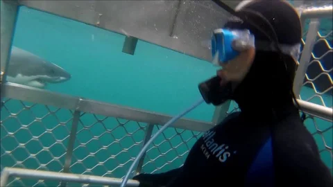 Shark cage Vídeo Stock 93445870