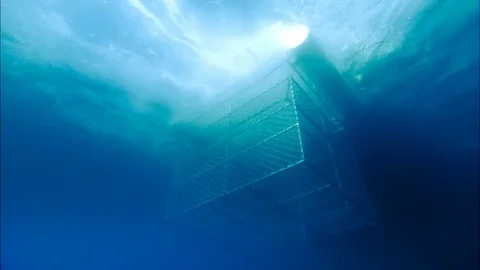 Shark Cage Thrown Into Oean Stock Footage 80181540