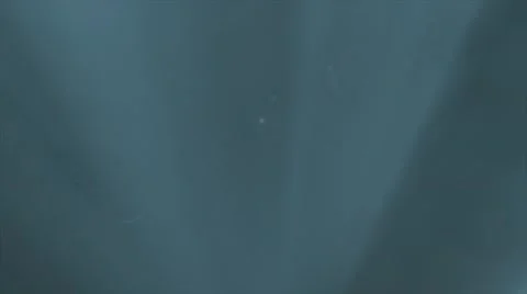 Shark catching bait while swimming underwater in sea Vídeo Stock 67555233