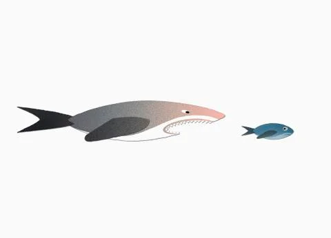 Shark chasing small fish against white background Illustrazione stock