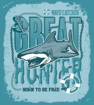 Shark on a colored background. Stock Illustration