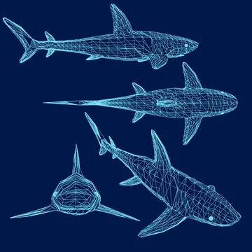 Shark contour set. Vector illustration Illustrazione stock