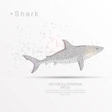 The Shark digitally drawn low poly triangle wire frame. Stock Illustration