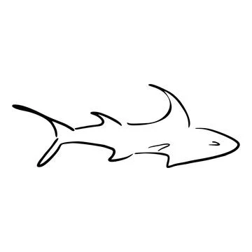 A shark drawn in pencil Stock Illustration