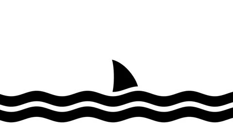 Shark Encounter Stock Footage 335671652