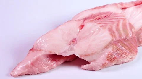 Shark fillet on white background, rotating Stock Footage 303251276