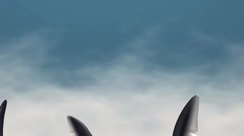 Shark fin, fish, alpha matte. Vidéo 23912058