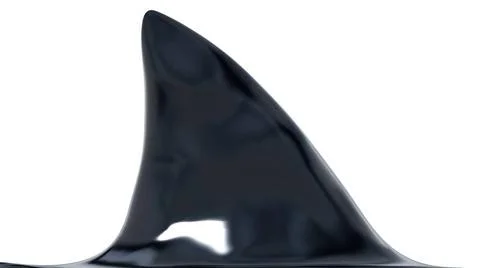Shark fin isolated on white background. 3D illustration Shark fin isolated... Stock Photos