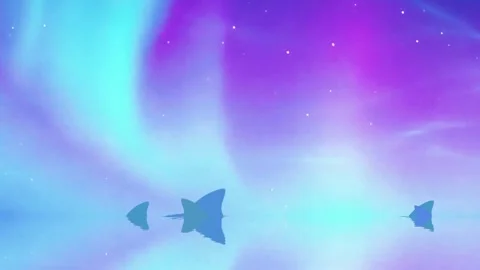 Shark Fin Under Aurora Sky: A Animated Journey Through Night Ocean Landscape Video stock 304945031