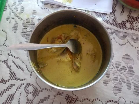 Shark fish curry 스톡 사진