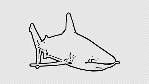 Free: Shark, Drawing, Cartoon, Fish PNG - nohat.cc