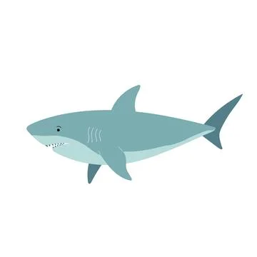 Shark in flat style isolated on white background. Cartoon sea predator vector 库存插图